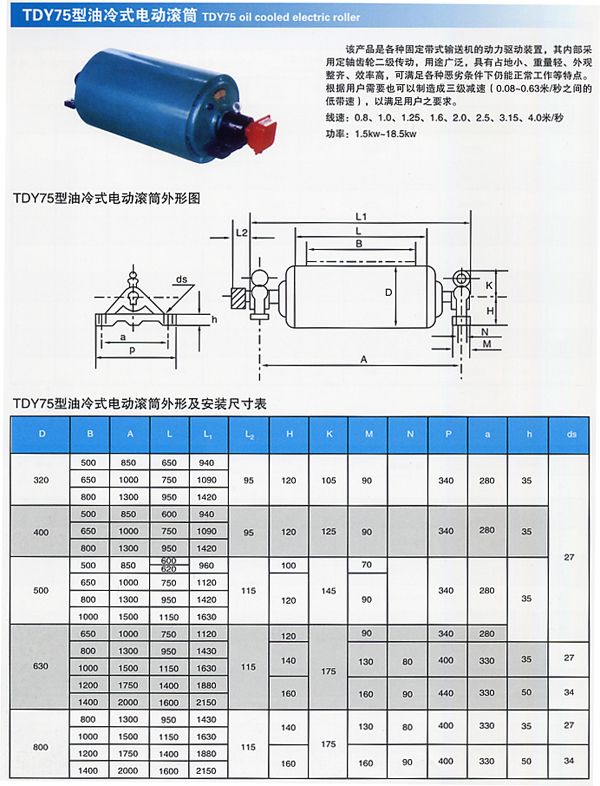 TDY75型滚球十大平台（中国）有限公司.jpg